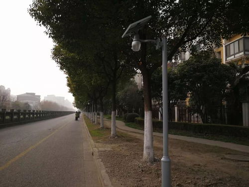 沙浦河邊安裝太陽(yáng)能路燈進(jìn)展 顧新路道路監(jiān)控設(shè)施升級(jí) 平流霧下的新顧城 沙浦路新裝修永輝生活超市 友誼西路劃道路標(biāo)識(shí)線